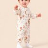 سالوبيت Little Lion